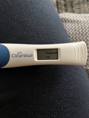 Line progression easy@home tests - no change between 16-18dpo