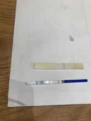 POAS come on you rainbows