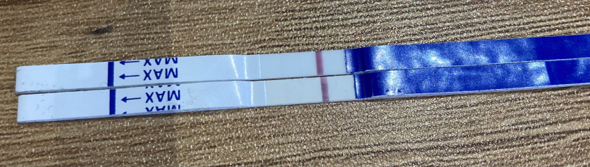 POAS come on you rainbows