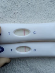 The F*** am I pregnant or not? Help
