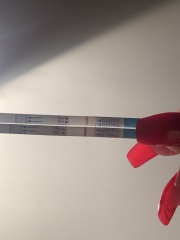 Faint Line or Evaporation Line? I really need help :(