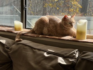 Come and tell me your dull and unexciting news 27: Calmly through the day