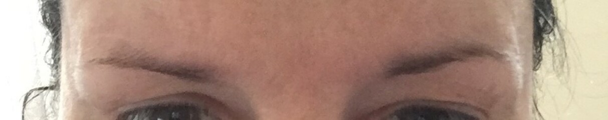 Has anyone used RapidBrow before?