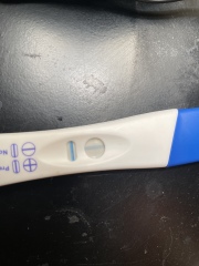 Clear blue test. Evap line or positive