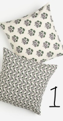 Please help me decide what cushions!