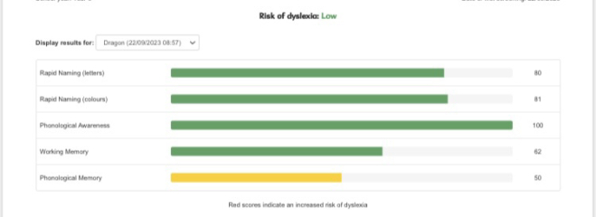 I’m a dyslexia assessor AMA