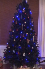 Show me your trees!