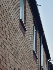 Mould should housing pay for beds