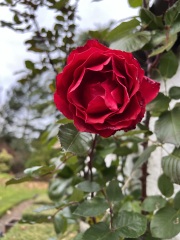 Show Us Your Photos