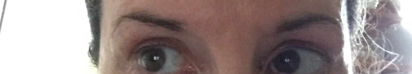 Has anyone used RapidBrow before?