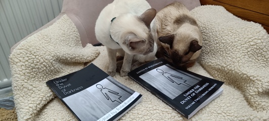 Lurking Merkins - Volume Two of Under the Duvet of Darkness