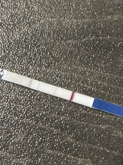 Is this a positive pregnancy test?!?