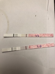Faint lines 13 & 14dpo, squinter after window on 16dpo different brand