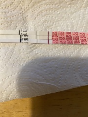 A line eye enthusiast #2