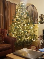 The ultimate SHOW US YOUR TREE megathread!