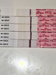Are these progressing ok?