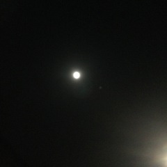 The Moon just now (pic)