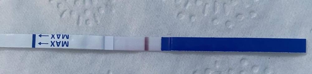 Hi all, is this an evap line on this test?
