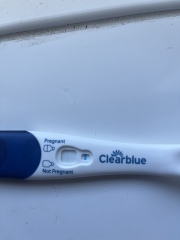Clear blue test. Evap line or positive