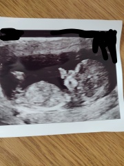 Anyone good at nub theory? Due April.