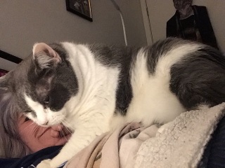 Let's see your best "Loaf of Doom" pics!