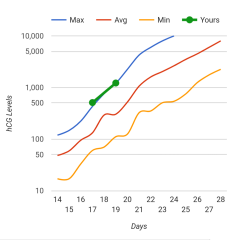 FET/IVF/ICSI Part 2