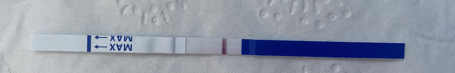 Hi all, is this an evap line on this test?