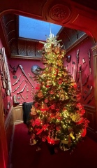 The ultimate SHOW US YOUR TREE megathread!