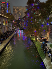 The ultimate SHOW US YOUR TREE megathread!