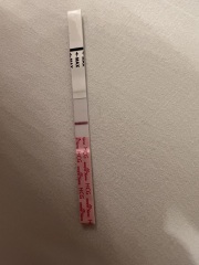 BBTing our way to a BFP in September 🎉 cont.