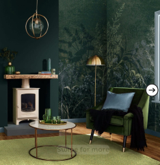 Good transition colour to tie together kitchen and living room