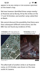 Why don't they move south ?