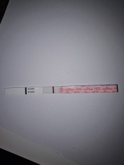 1 DPO TWW Nov