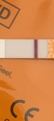 Positive pregnancy test??