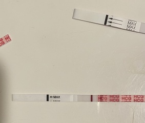 Several wondfo positives with progression, negative frer