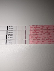 Cd1 of ttc first cycle after loss... anyone want to join me? 🙂