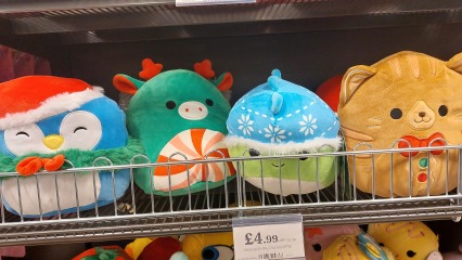 Thread 14 - the one where we track our Fahlo turtles while snuggling under our heated blankets