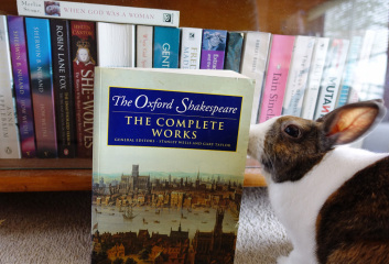 Lurking Merkins - Volume Two of Under the Duvet of Darkness