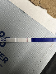 A line eye enthusiast #2