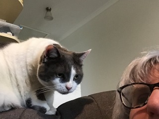 Let's see your best "Loaf of Doom" pics!