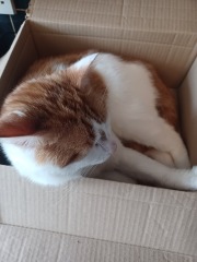 Let's see your best "Loaf of Doom" pics!