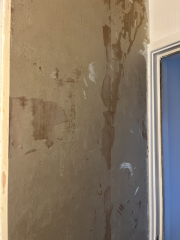 Painting plaster walls?