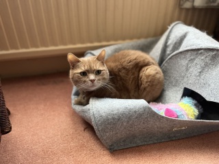 Let's see your best "Loaf of Doom" pics!
