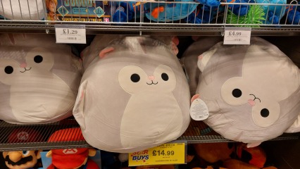 Thread 14 - the one where we track our Fahlo turtles while snuggling under our heated blankets