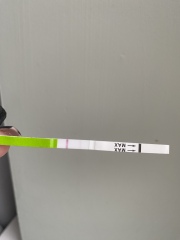 Pregnancy test