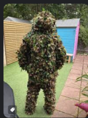 Obsessive neighbour losing the plot over leaves