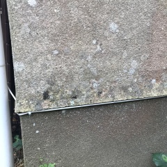 Where to start with damp and mould