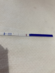 POAS come on you rainbows