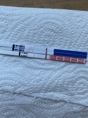 A line eye enthusiast #2