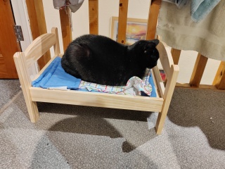 Let's see your best "Loaf of Doom" pics!